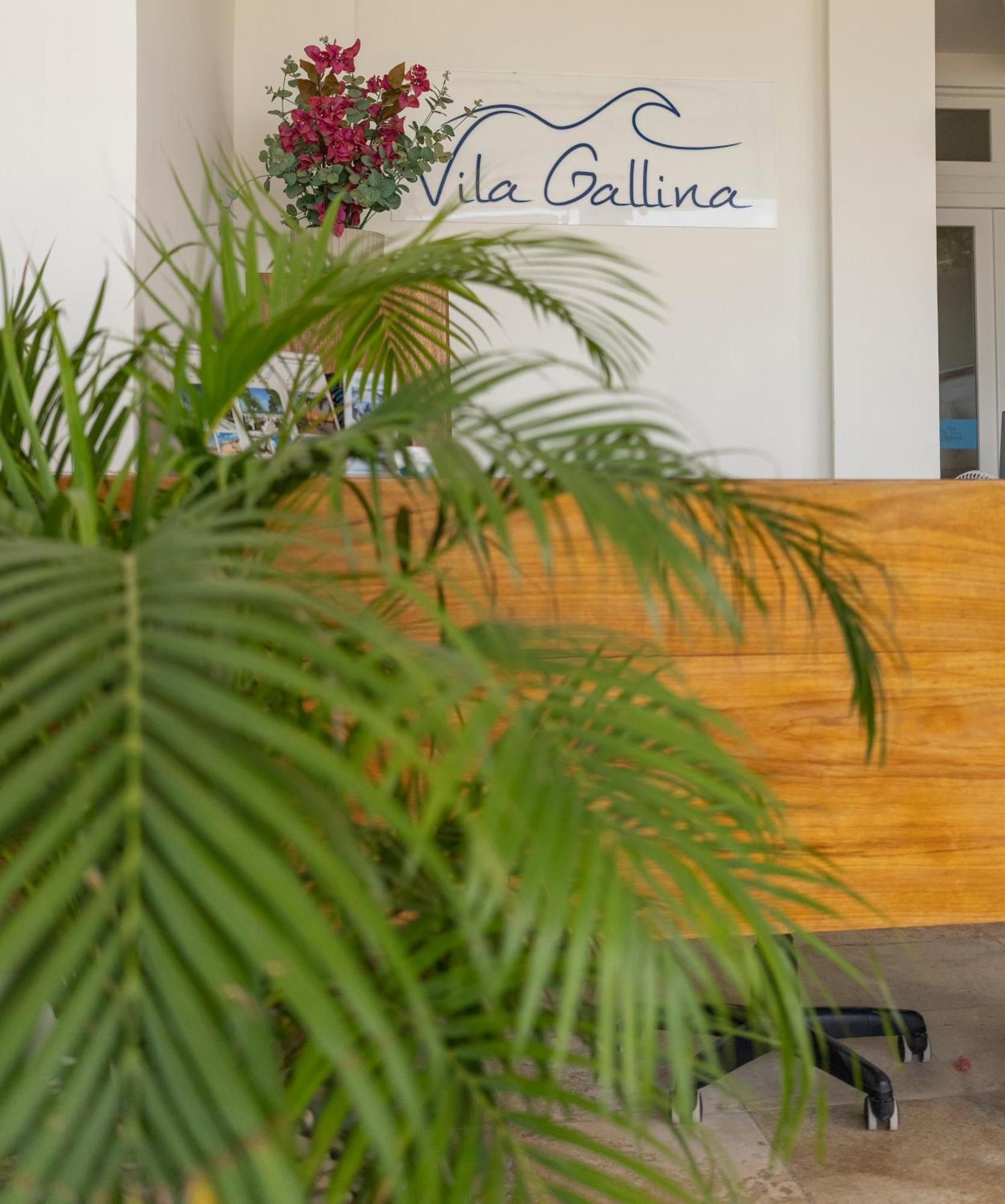 Vila Gallina Pousada Hotell Jijoca de Jericoacoara Exteriör bild